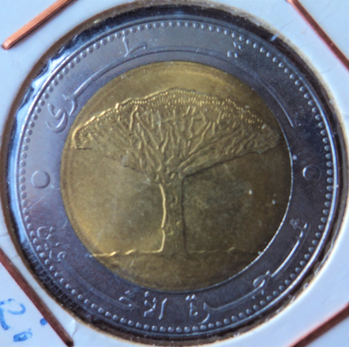 El árbol dragón y la moneda de 20 rials de Yemen